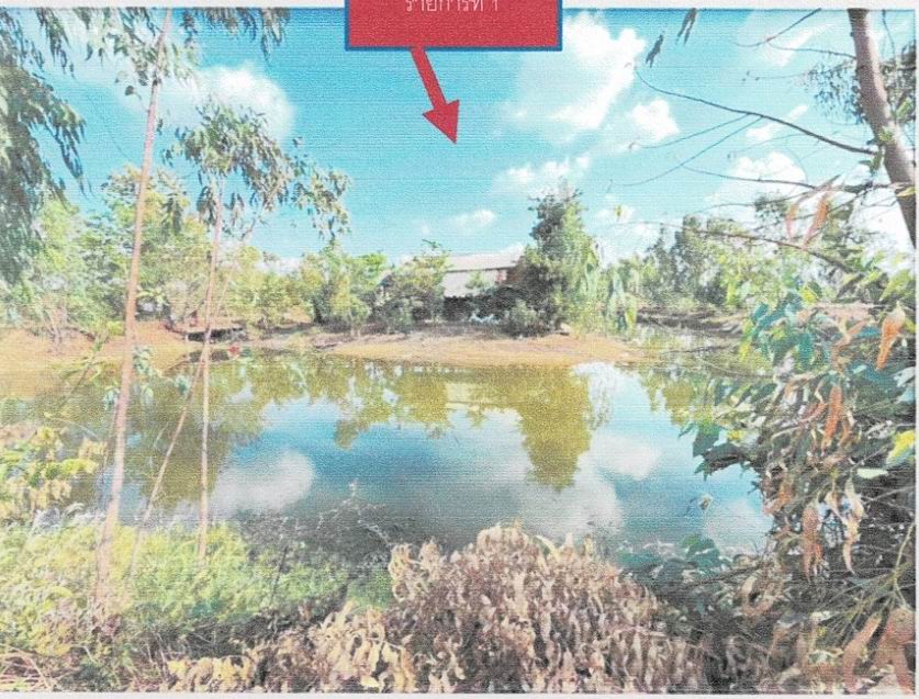 ขายทอดตลาด ที่ดินพร้อมสิ่งปลูกสร้าง ต.บ้านด่าน อ.อรัญประเทศ จ.สระแก้ว