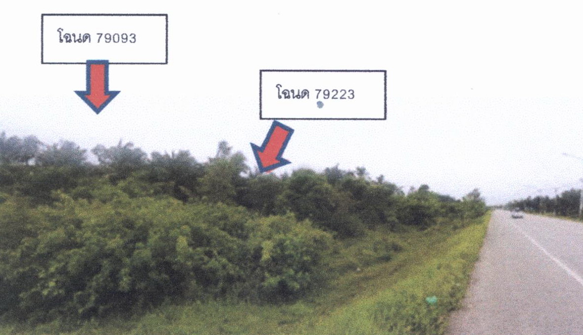 ขายทอดตลาด ที่ดินว่างเปล่า ต.บางลึก อ.เมืองชุมพร จ.ชุมพร