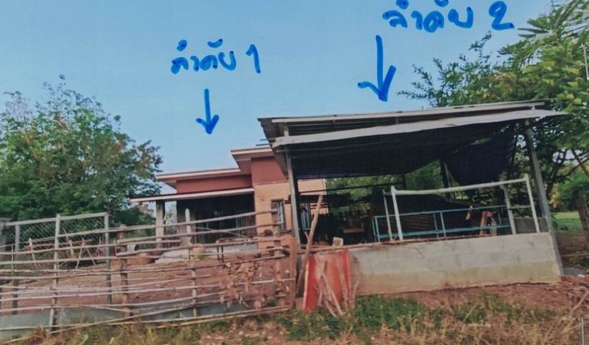 ขายทอดตลาด ที่ดินพร้อมสิ่งปลูกสร้าง ต.ผักขะ อ.วัฒนานคร จ.สระแก้ว