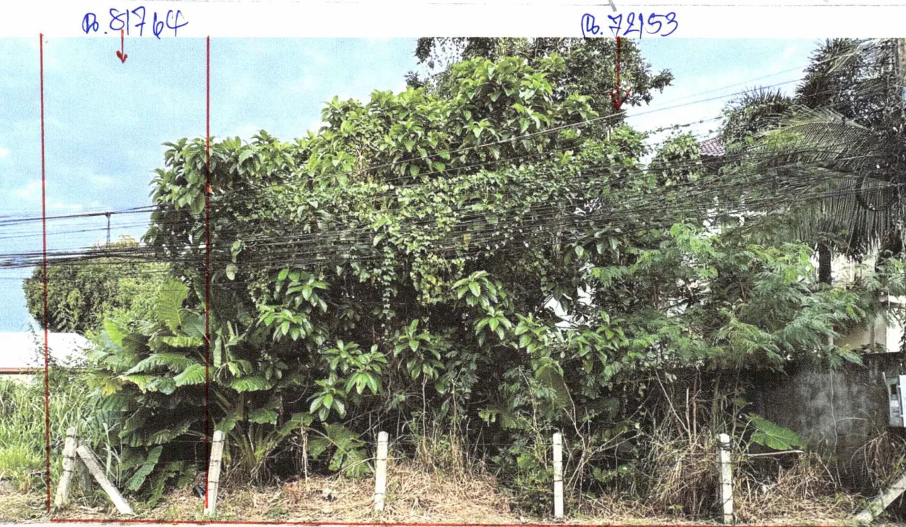 ขายทอดตลาด ที่ดินว่างเปล่า จ.ภูเก็ต