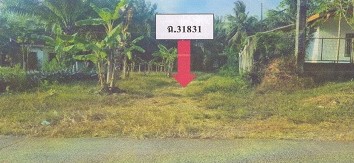 ขายทอดตลาด ที่ดินว่างเปล่า ต.นาท่ามเหนือ อ.เมืองตรัง จ.ตรัง