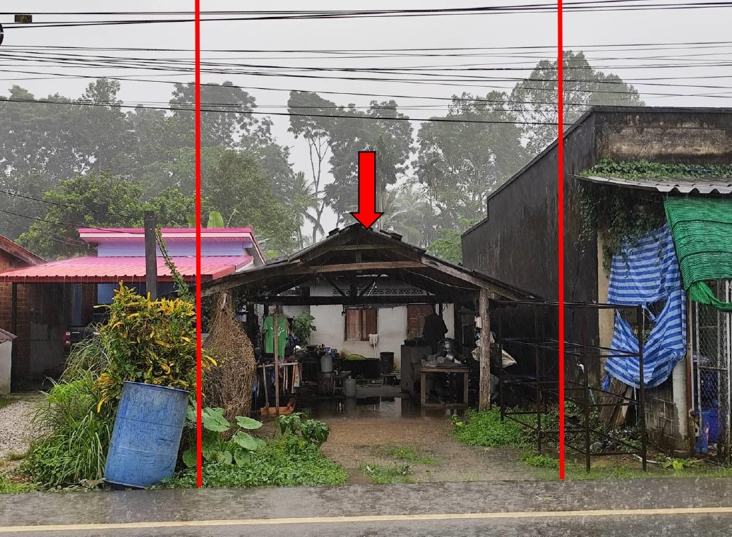 ขายทอดตลาด ที่ดินพร้อมสิ่งปลูกสร้าง ต.ปะเหลียน อ.ปะเหลียน จ.ตรัง