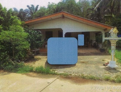 ขายทอดตลาด ที่ดินพร้อมสิ่งปลูกสร้าง ต.วังคีรี อ.ห้วยยอด จ.ตรัง