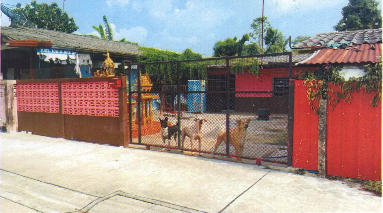 ขายทอดตลาด ที่ดินพร้อมสิ่งปลูกสร้าง ต.หน้าเมือง อ.เมืองฉะเชิงเทรา จ.ฉะเชิงเทรา