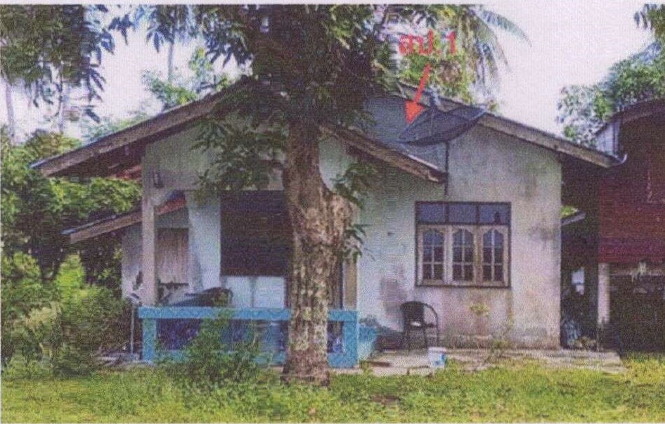 ขายทอดตลาด ที่ดินพร้อมสิ่งปลูกสร้าง ต.เกาะสุกร อ.ปะเหลียน จ.ตรัง