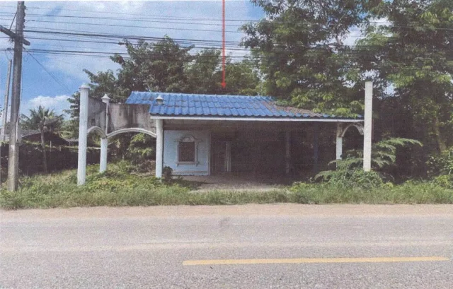 ขายทอดตลาด ที่ดินพร้อมสิ่งปลูกสร้าง ต.ปากน้ำ อ.บางคล้า จ.ฉะเชิงเทรา