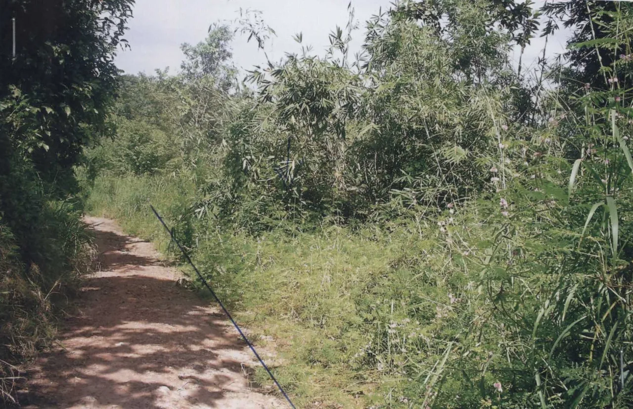 ขายทอดตลาด ที่ดินว่างเปล่า ต.ดอยลาน อ.เมืองเชียงราย จ.เชียงราย