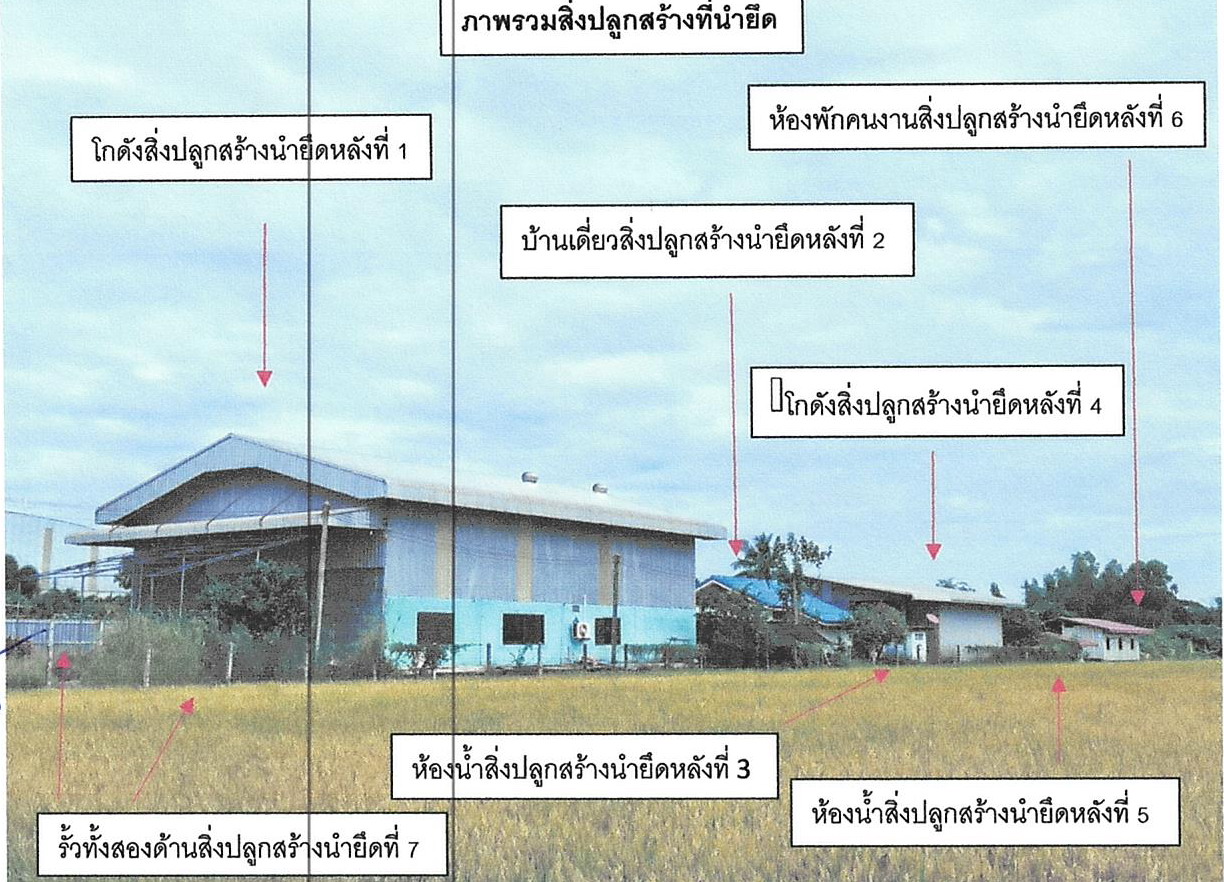 ขายทอดตลาด ที่ดินพร้อมสิ่งปลูกสร้าง ต.เสือโฮก อ.เมืองชัยนาท จ.ชัยนาท