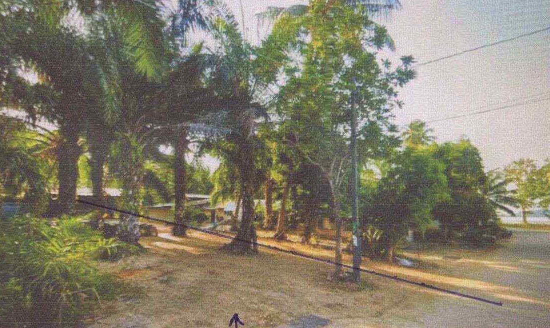ขายทอดตลาด ที่ดินว่างเปล่า ต.ตะเสะ อ.หาดสำราญ จ.ตรัง