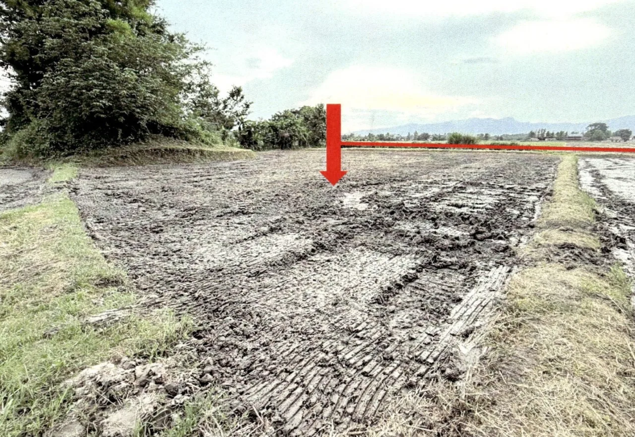 ขายทอดตลาด ที่ดินว่างเปล่า ต.บัวสลี อ.แม่ลาว จ.เชียงราย