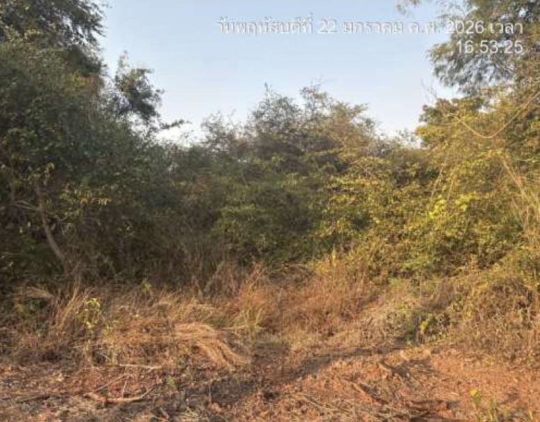 ขายทอดตลาด ที่ดินว่างเปล่า จ.สุพรรณบุรี