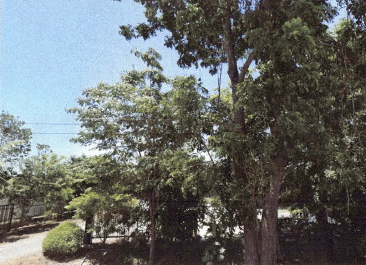 ขายทอดตลาด ที่ดินว่างเปล่า จ.สุพรรณบุรี