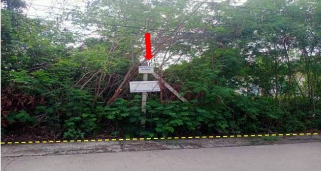 ขายทอดตลาด ที่ดินว่างเปล่า ต.ท่าสะอ้าน อ.บางปะกง จ.ฉะเชิงเทรา