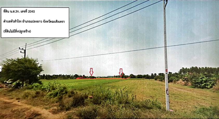ขายทอดตลาด ที่ดินว่างเปล่า ต.หัวสำโรง อ.แปลงยาว จ.ฉะเชิงเทรา
