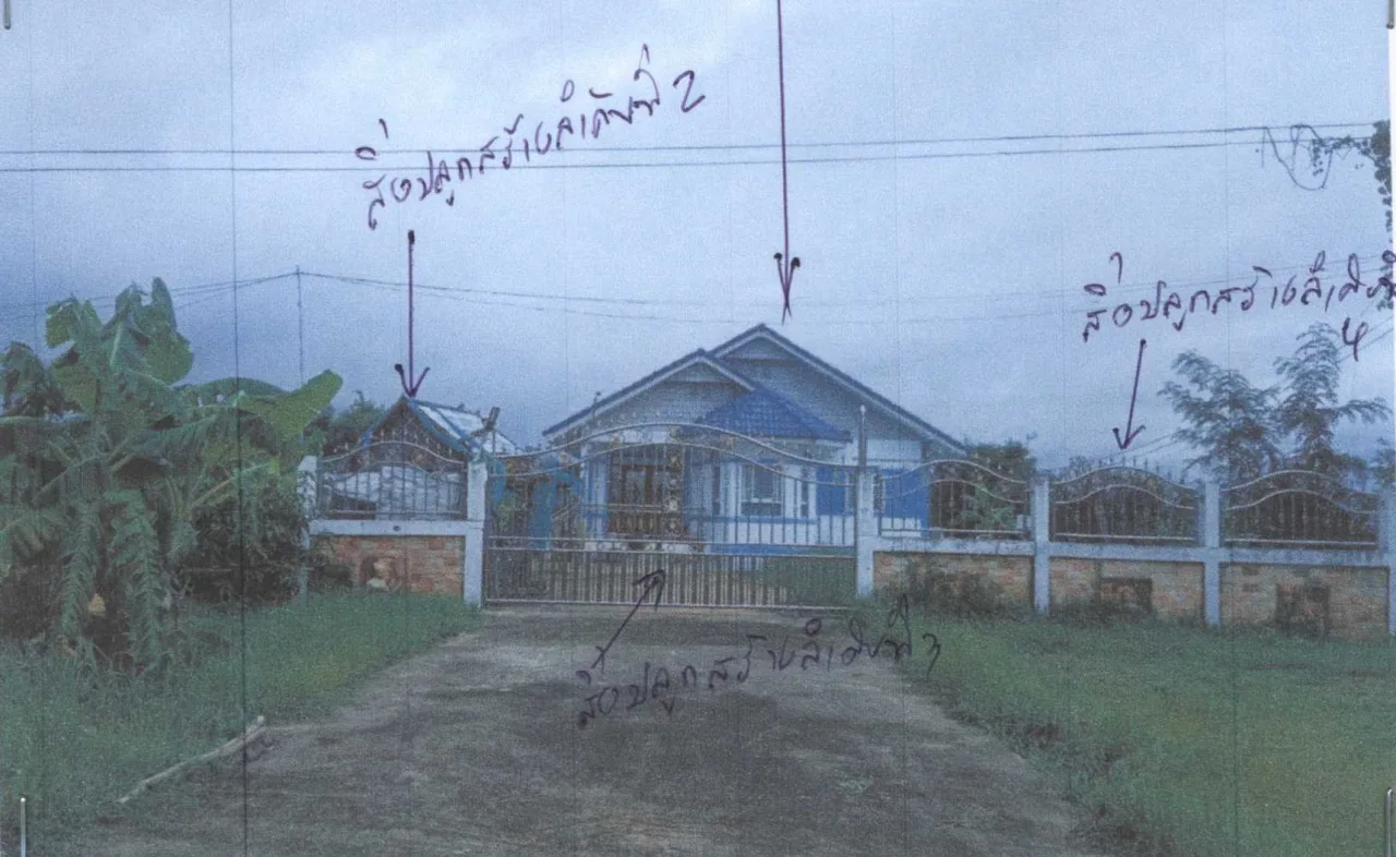 ขายทอดตลาด ที่ดินพร้อมสิ่งปลูกสร้าง ต.แพง อ.โกสุมพิสัย จ.มหาสารคาม