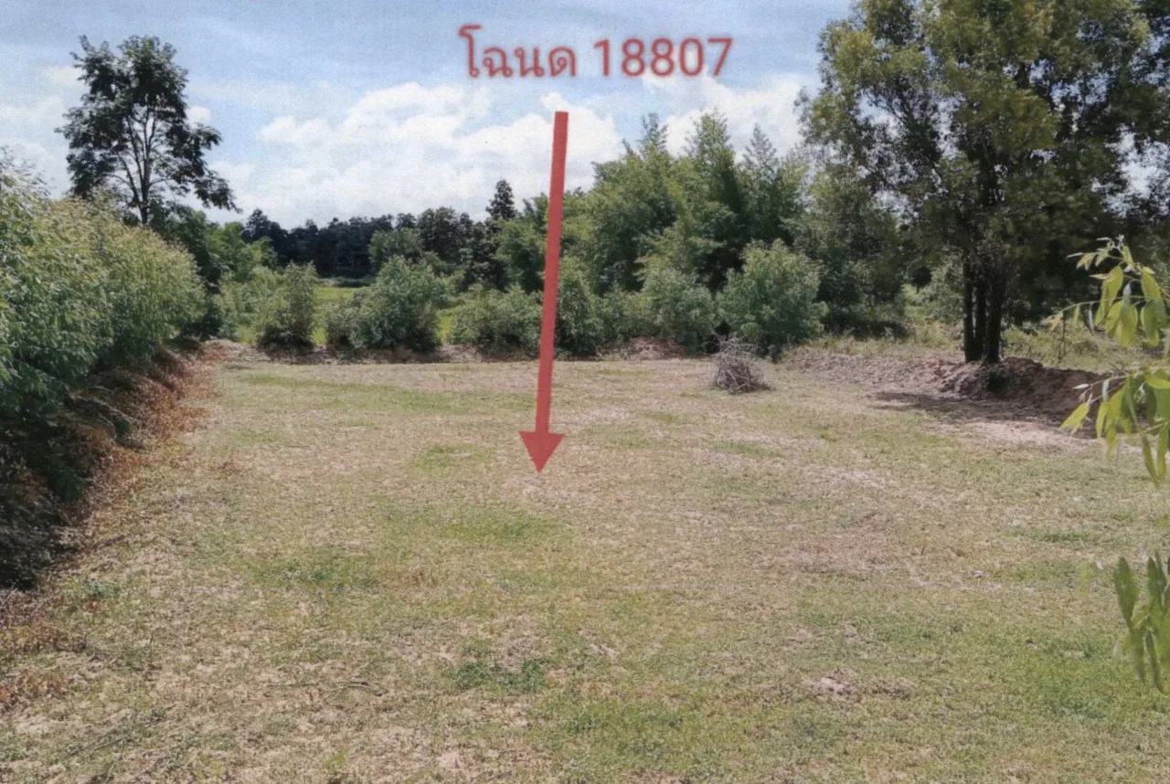 ขายทอดตลาด ที่ดินว่างเปล่า ต.หนองเม็ก อ.นาเชือก จ.มหาสารคาม