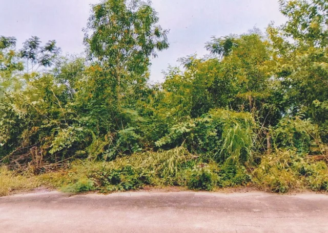 ขายทอดตลาด ที่ดินว่างเปล่า ต.คลองนา อ.เมืองฉะเชิงเทรา จ.ฉะเชิงเทรา