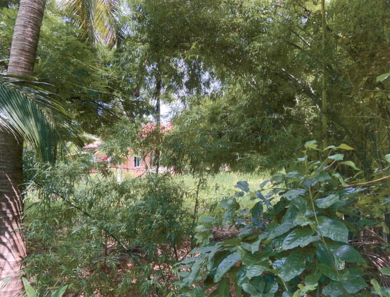 ขายทอดตลาด ที่ดินว่างเปล่า ต.ท่าตูม อ.เมืองมหาสารคาม จ.มหาสารคาม