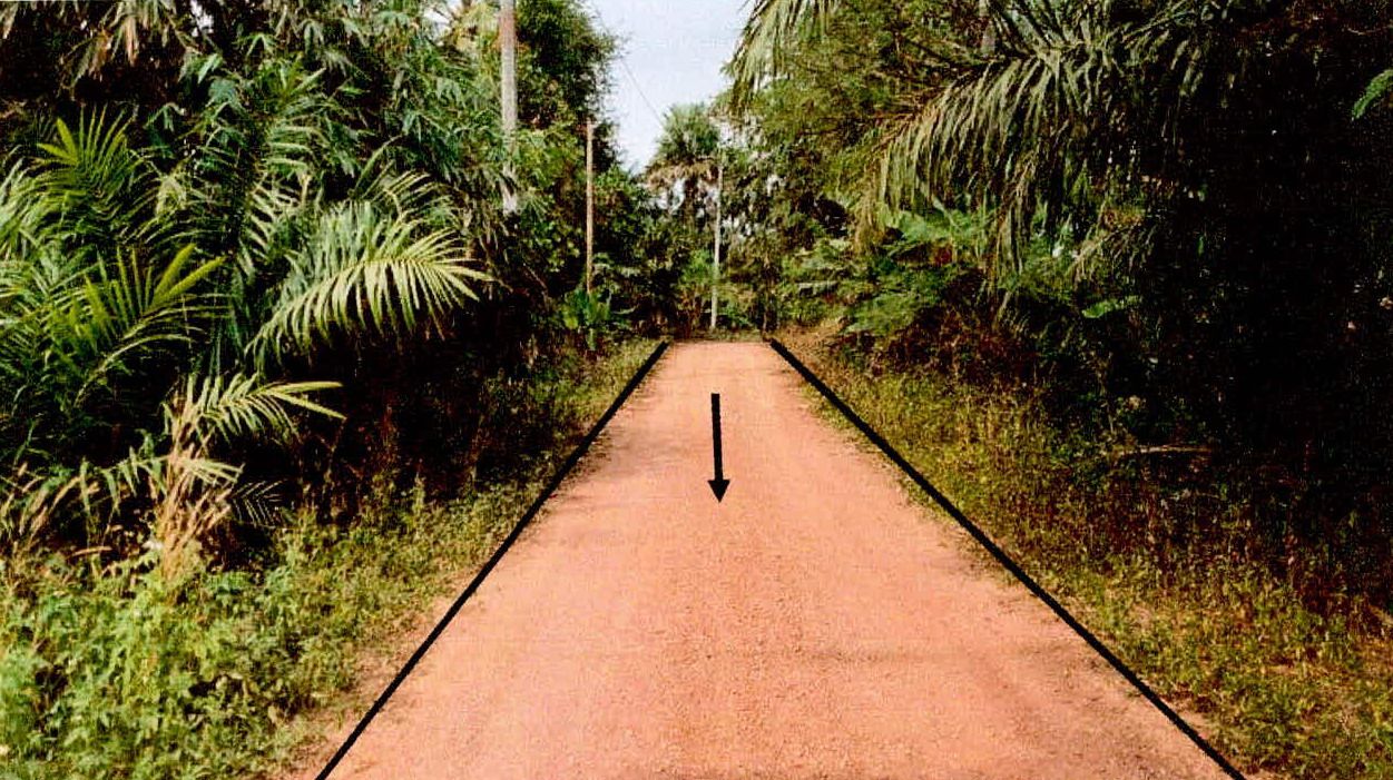ขายทอดตลาด ที่ดินว่างเปล่า ต.เขาพนม อ.เขาพนม จ.กระบี่