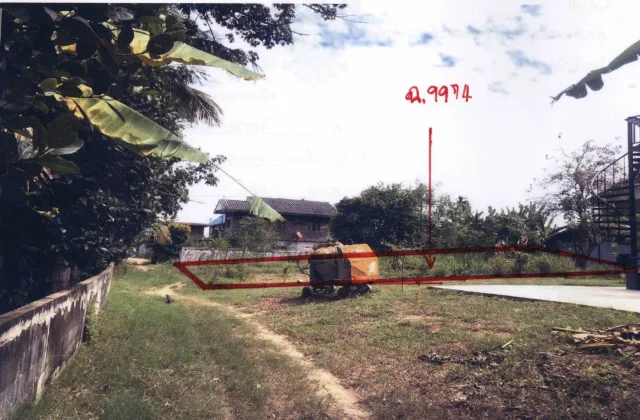 ขายทอดตลาด ที่ดินว่างเปล่า ต.กุดรัง อ.กุดรัง จ.มหาสารคาม