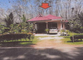 ขายทอดตลาด ที่ดินพร้อมสิ่งปลูกสร้าง ต.ในควน อ.ย่านตาขาว จ.ตรัง