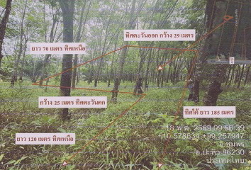 ขายทอดตลาด ที่ดินว่างเปล่า ต.สะพลี อ.ปะทิว จ.ชุมพร
