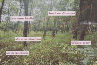 รูปทรัพย์ 1