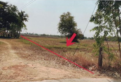 ขายทอดตลาด ที่ดินว่างเปล่า ต.หนองม่วง อ.บรบือ จ.มหาสารคาม