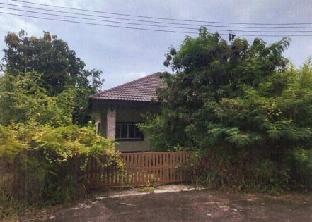 ขายทอดตลาด ที่ดินพร้อมสิ่งปลูกสร้าง ต.หัวสำโรง อ.แปลงยาว จ.ฉะเชิงเทรา