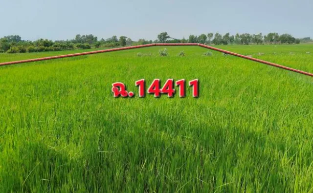 ขายทอดตลาด ที่ดินว่างเปล่า ต.โคกพระ อ.กันทรวิชัย จ.มหาสารคาม