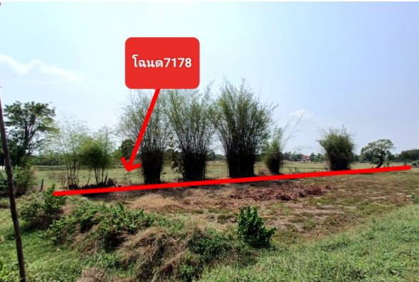 ขายทอดตลาด ที่ดินว่างเปล่า ต.แวงดง อ.ยางสีสุราช จ.มหาสารคาม