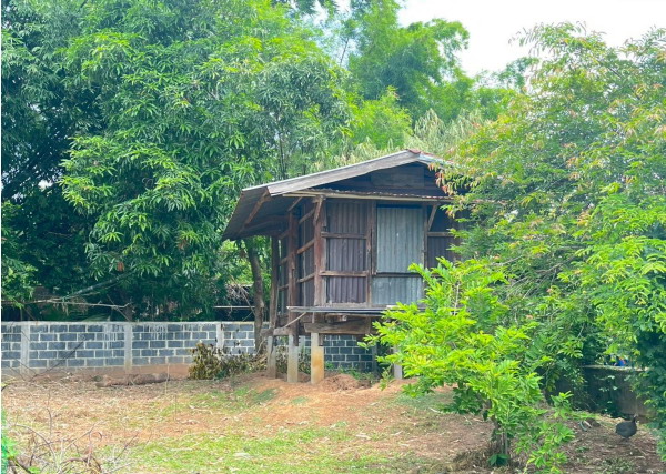 ขายทอดตลาด ที่ดินพร้อมสิ่งปลูกสร้าง ต.หนองแสง อ.วาปีปทุม จ.มหาสารคาม