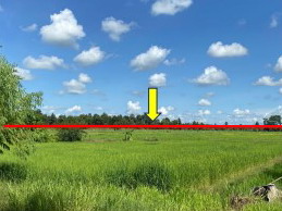 ขายทอดตลาด ที่ดินว่างเปล่า ต.หนองโน อ.เมืองมหาสารคาม จ.มหาสารคาม