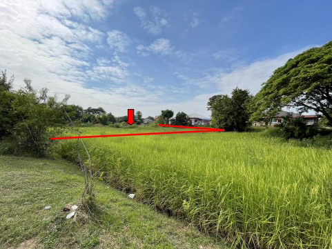 ขายทอดตลาด ที่ดินว่างเปล่า ต.หนองแสน อ.วาปีปทุม จ.มหาสารคาม