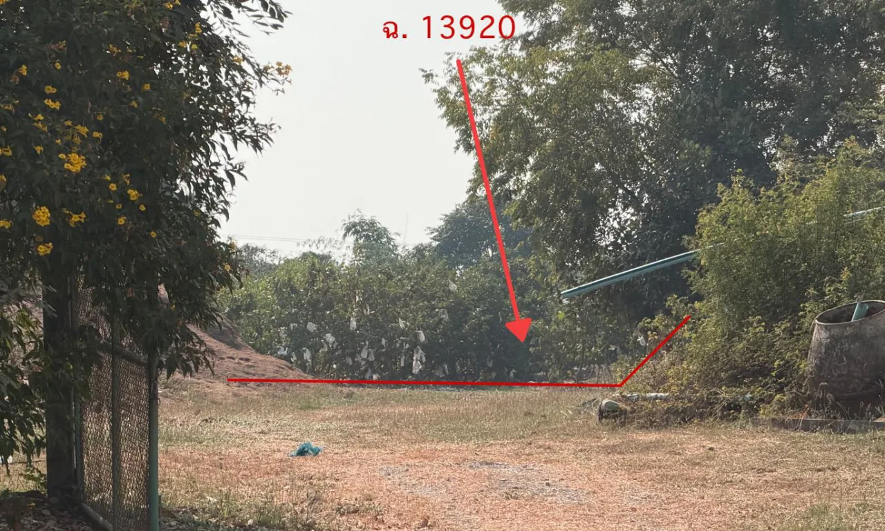 ขายทอดตลาด ที่ดินว่างเปล่า จ.สุพรรณบุรี