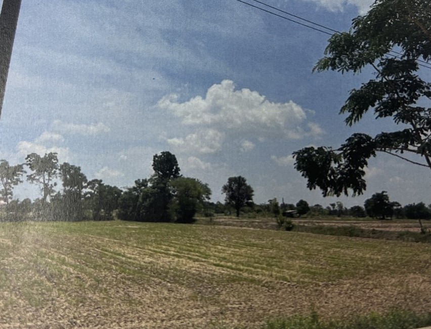 ขายทอดตลาด ที่ดินว่างเปล่า ต.บ้านหวาย อ.วาปีปทุม จ.มหาสารคาม