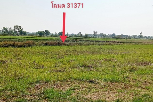 ขายทอดตลาด ที่ดินว่างเปล่า ต.หนองซอน อ.เชียงยืน จ.มหาสารคาม