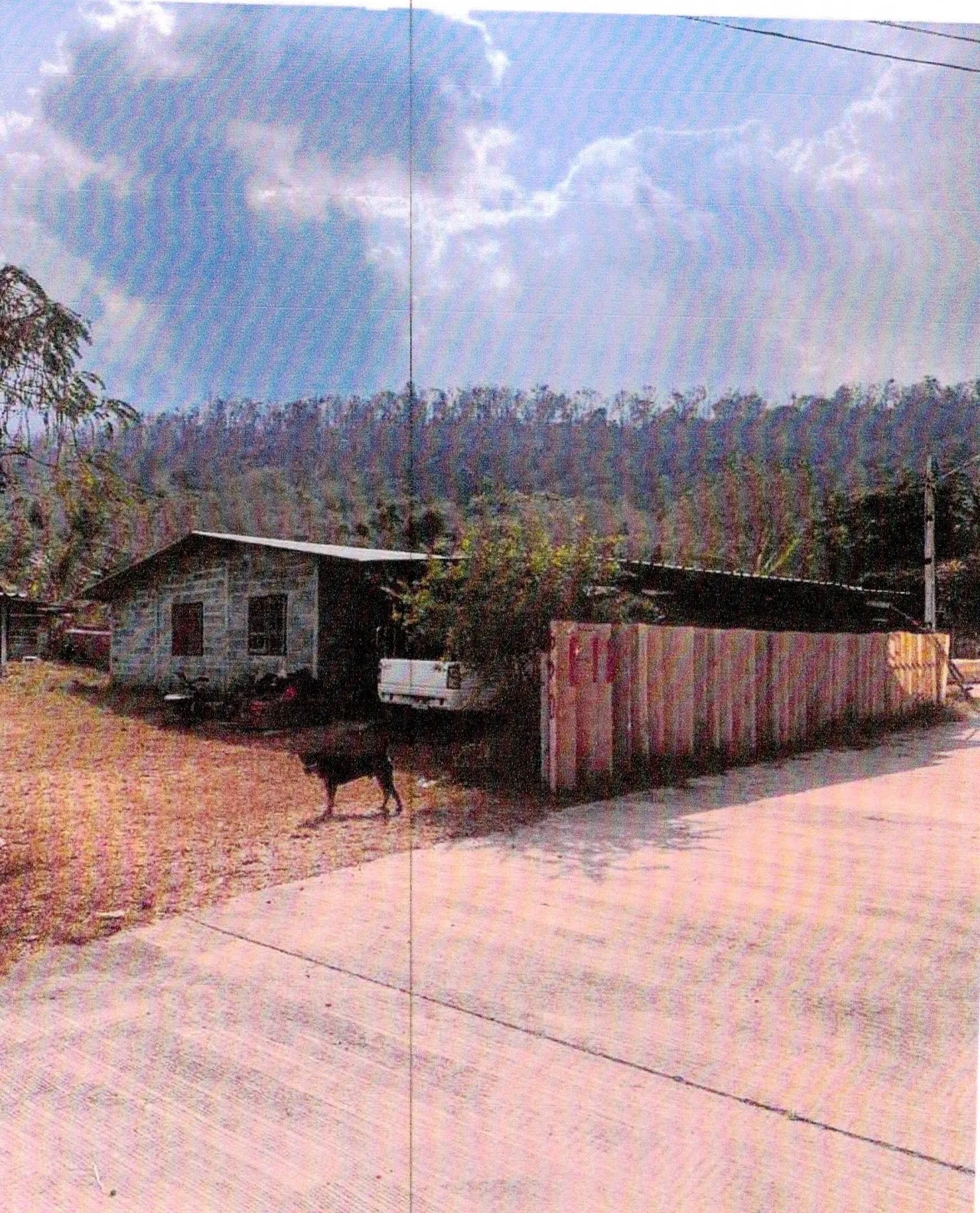 ขายทอดตลาด ที่ดินพร้อมสิ่งปลูกสร้าง ต.บ่อกวางทอง อ.บ่อทอง จ.ชลบุรี