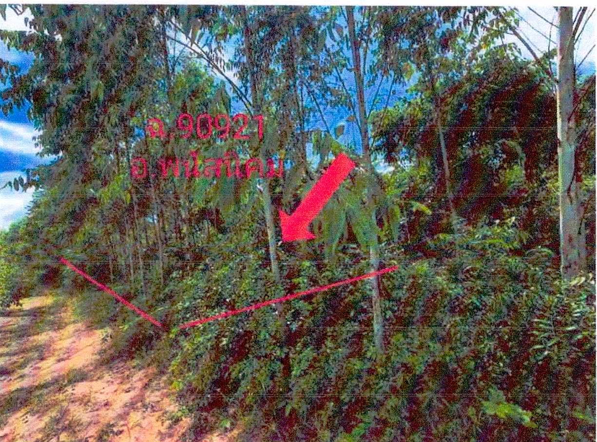 ขายทอดตลาด ที่ดินว่างเปล่า จ.ชลบุรี