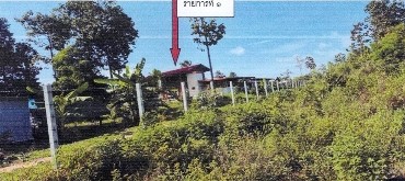 ขายทอดตลาด ที่ดินพร้อมสิ่งปลูกสร้าง ต.หนองจิก อ.บรบือ จ.มหาสารคาม
