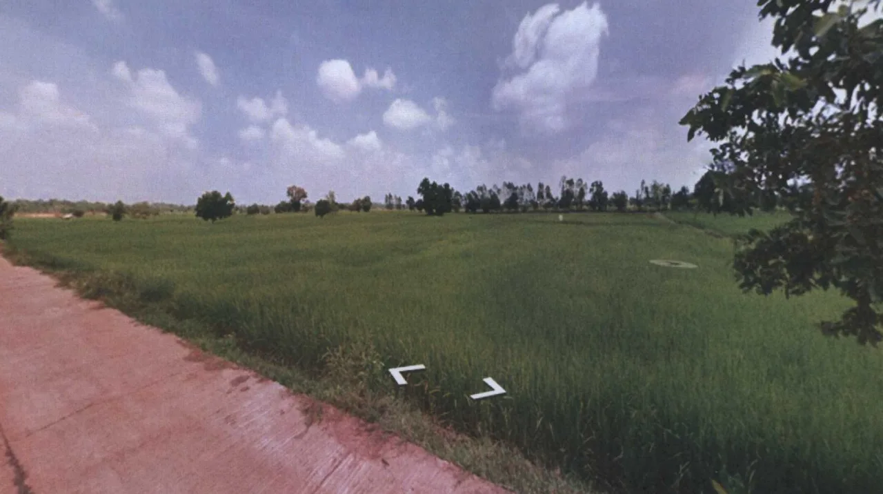 ขายทอดตลาด ที่ดินว่างเปล่า ต.หนองแสง อ.วาปีปทุม จ.มหาสารคาม