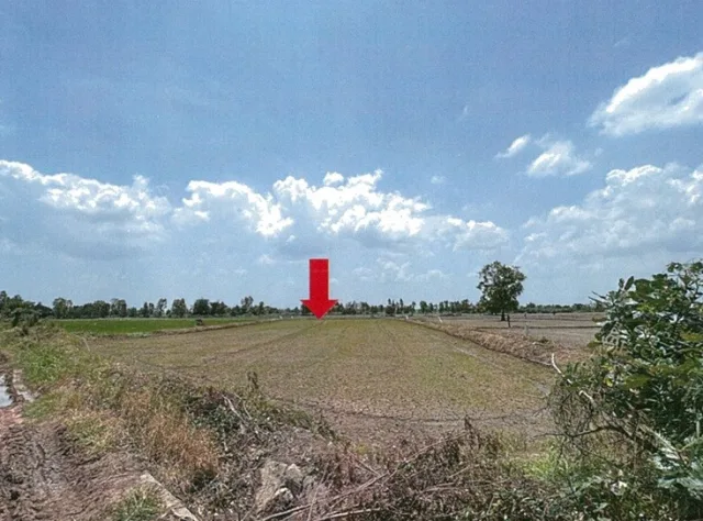 ขายทอดตลาด ที่ดินว่างเปล่า ต.เขื่อน อ.โกสุมพิสัย จ.มหาสารคาม