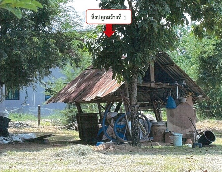 ขายทอดตลาด ที่ดินพร้อมสิ่งปลูกสร้าง ต.หนองซอน อ.เชียงยืน จ.มหาสารคาม