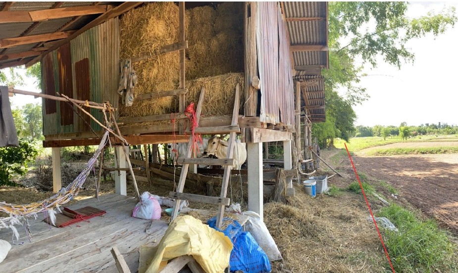 ขายทอดตลาด ที่ดินพร้อมสิ่งปลูกสร้าง ต.ดอนกลาง อ.โกสุมพิสัย จ.มหาสารคาม