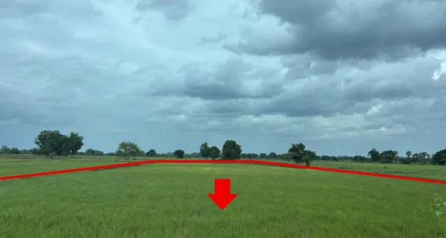 ขายทอดตลาด ที่ดินว่างเปล่า ต.เขวาใหญ่ อ.กันทรวิชัย จ.มหาสารคาม
