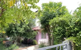 รูปทรัพย์ 1