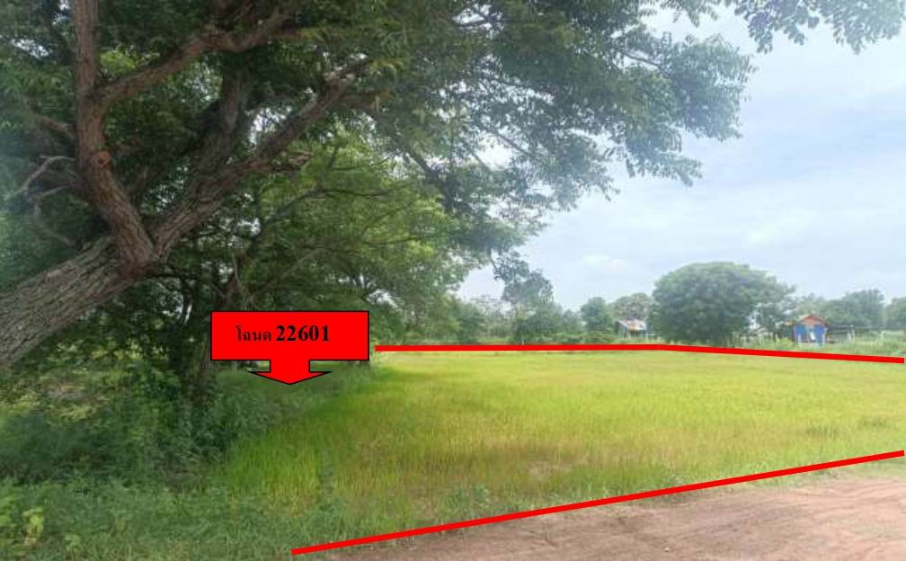ขายทอดตลาด ที่ดินว่างเปล่า ต.หนองแสง อ.วาปีปทุม จ.มหาสารคาม