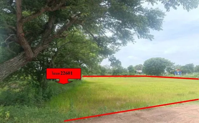 ขายทอดตลาด ที่ดินว่างเปล่า ต.หนองแสง อ.วาปีปทุม จ.มหาสารคาม