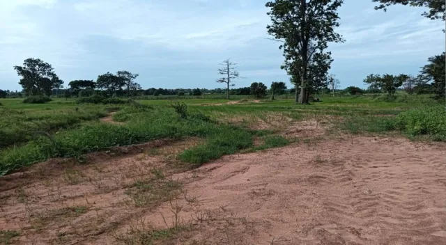 ขายทอดตลาด ที่ดินว่างเปล่า ต.ดอนกลาง อ.โกสุมพิสัย จ.มหาสารคาม