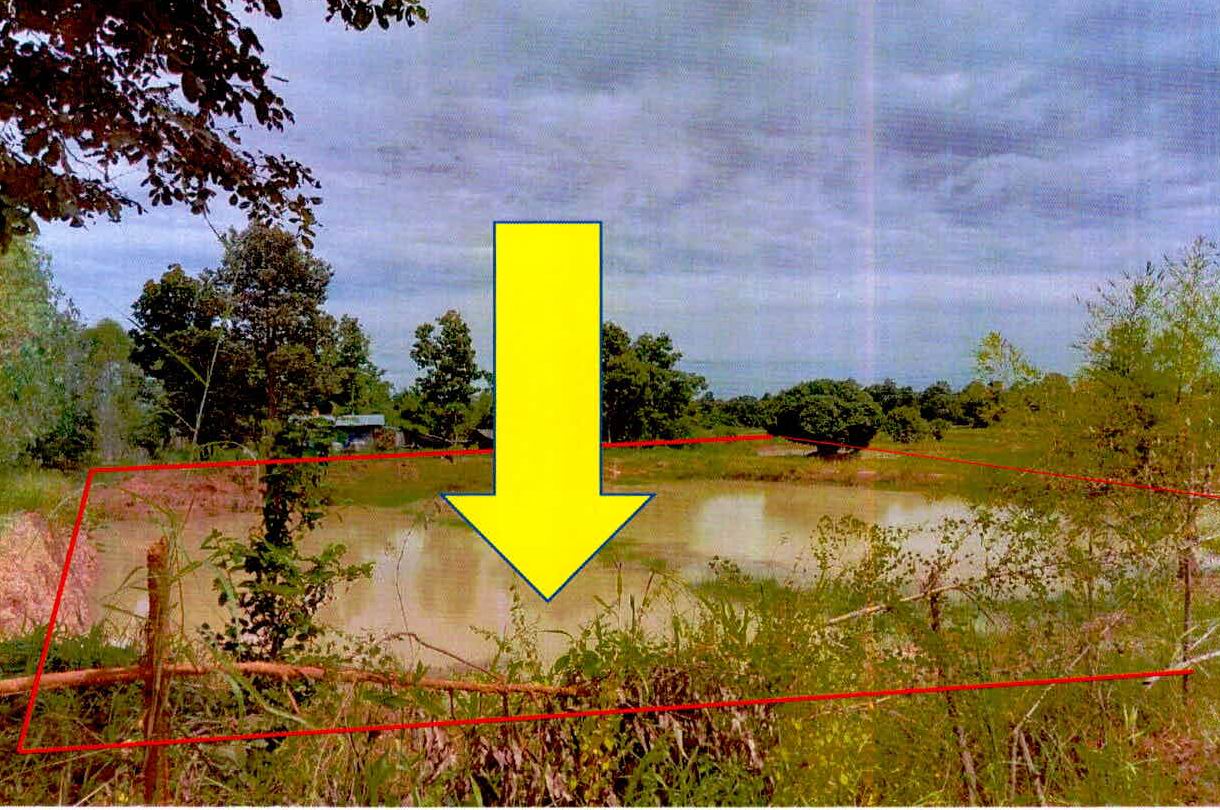 ขายทอดตลาด ที่ดินว่างเปล่า ต.แวงน่าง อ.เมืองมหาสารคาม จ.มหาสารคาม